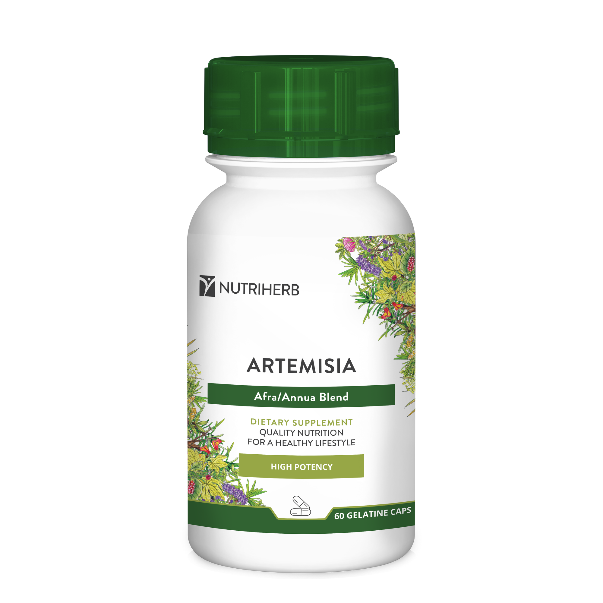 Artemisia Afra / Annua Blend