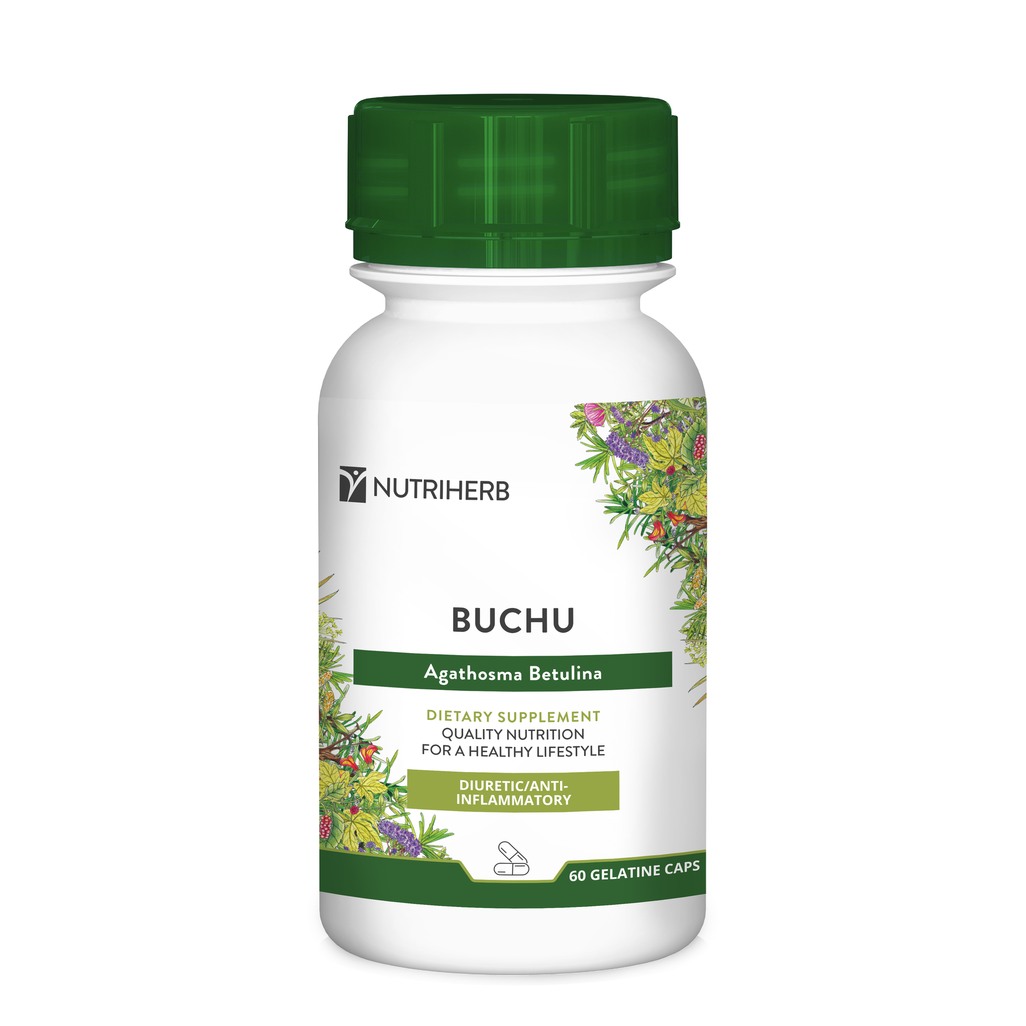 Buchu