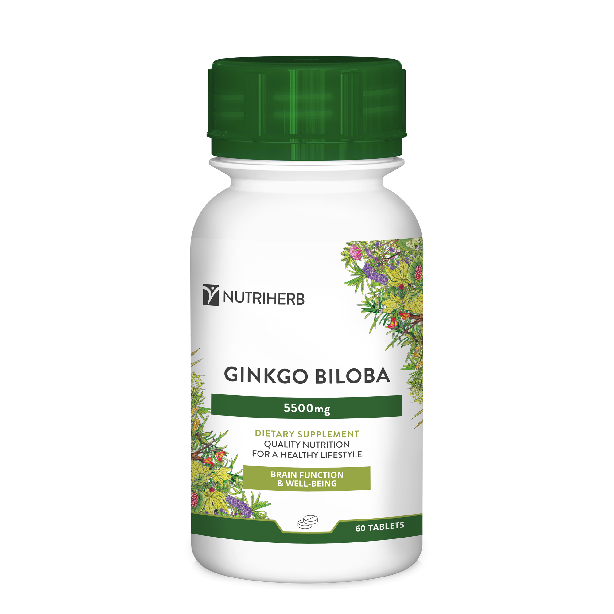 Ginkgo Biloba